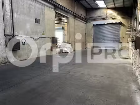 location entrepôt ternay 69360 158m²