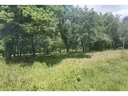 vente terrain 3700 m² à cubjac (24640)  29 000 €
