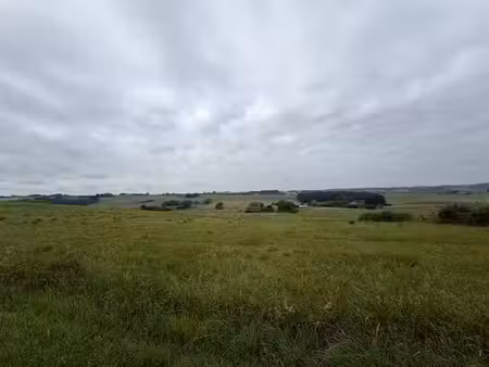vente terrain 1236 m² à lévignac-de-guyenne (47120)  39 990 €