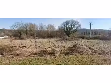 vente terrain 290 m² à carbonne (31390)  48 000 €