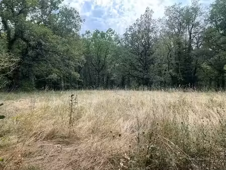 vente terrain 1500 m² à vezac (24220)  30 000 €