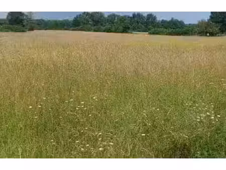 vente terrain 555 m² à fleure (86340)  37 200 €