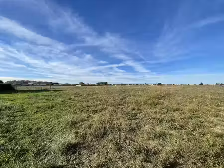 terrain