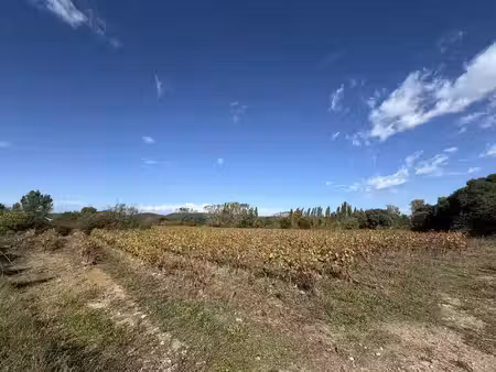 terrain