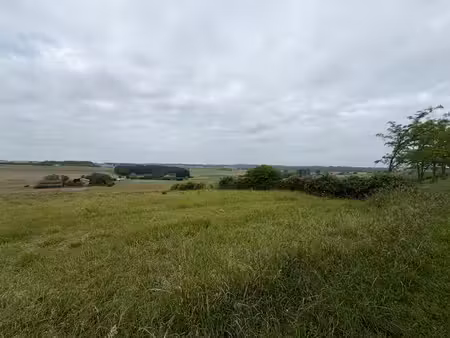 achat terrain 1 341m² levignac de guyenne 47120
