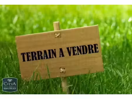 terrain