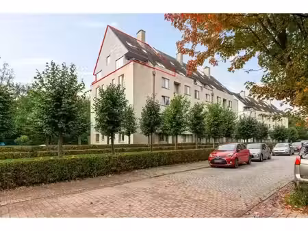 duplex à vendre à pol heynsstraat 6 herentals (rbx05548)