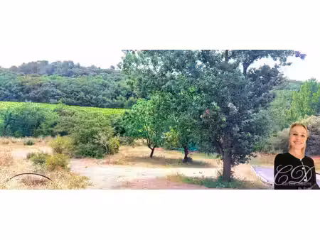 vue vignes