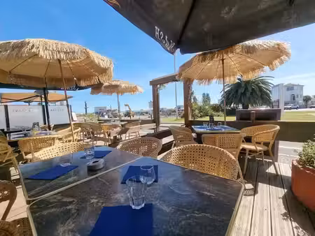 vente locaux professionnels 6 pièces 160 m² à saint-trojan-les-bains (17370)  333 000 €