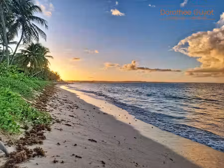à vendre – t2 – l’autre bord  le moule 97160