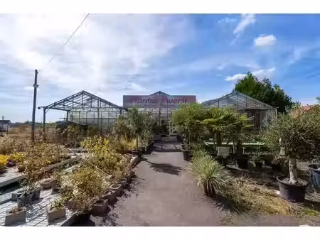 vente locaux professionnels 0 pièces 5349 m² à montchanin (71210)  230 000 €