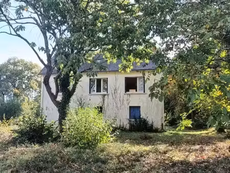 maison à rénover  avec terrain de 8000m2