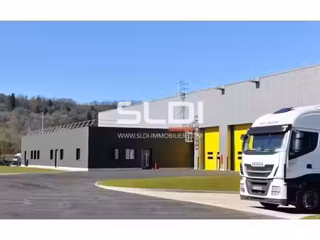 vente local d’activités corbas 69960 3600m² à 7600m²