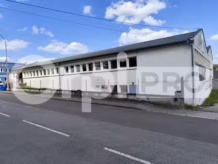 vente local d’activités limoges 87000 1240m²