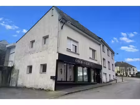 vente local d’activités locmine 56500 150m²