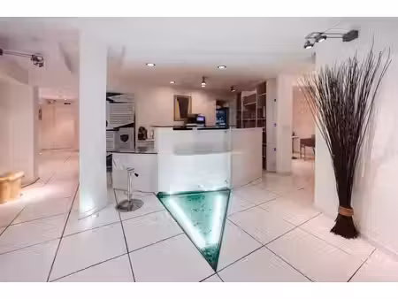 vente bureaux 225m²