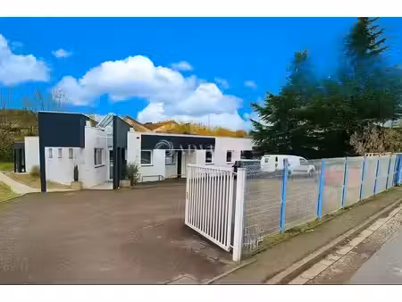 vente local d’activités custines 54670 313m²