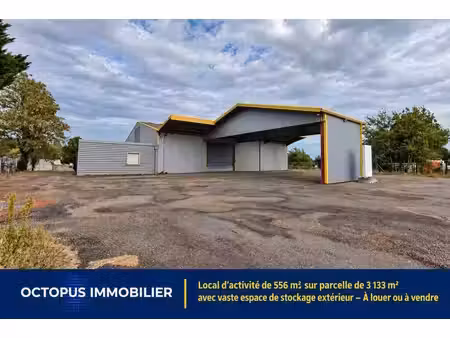 location local d’activités canals 82170 556m²