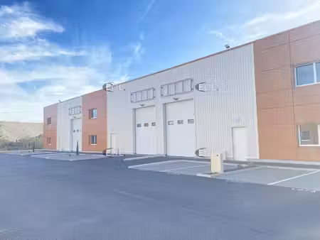 location entrepôt chassieu 69680 580m²