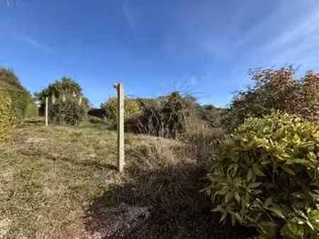 vente terrain à plérin (22190) : à vendre / 506m² plérin