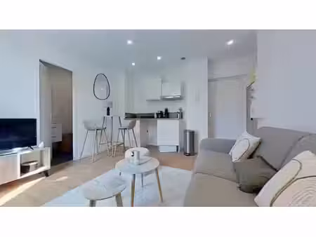 111 rue jean vallier lyon 69007 - t1 meublé - 640 €cc