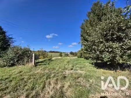 vente terrain au ferré (35420) : à vendre / 2468m² le ferré