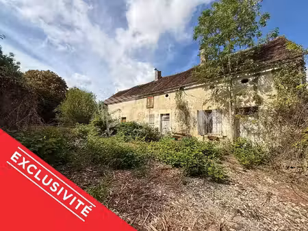 maison ancienne avec dépendances sur 3 073 m² - hameau de treigny (89520)