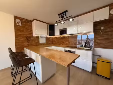 vente appartement 3 pièces 56 m² à frelinghien (59236)  223 000 €