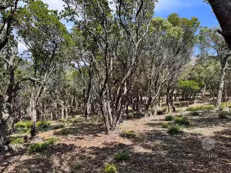 terrain non constructible massif de l'esterel