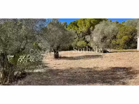 terrain mougins (06)