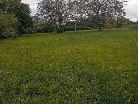 terrain 2960 m² pellevoisin