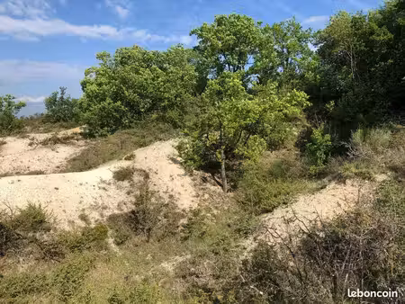 terrain agricole