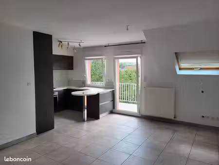 magnifique appartement landser 68