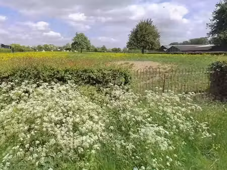 vente terrain 1000 m² à gommegnies (59144)  70 000 €