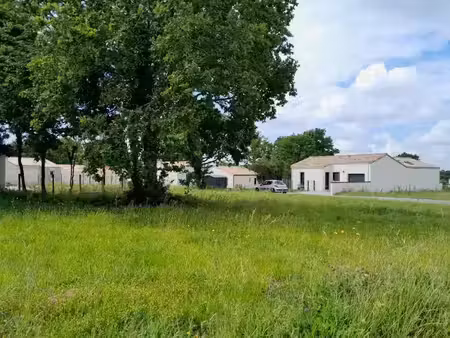 vente terrain 344 m² à chaumes-en-retz (44320)  77 000 €