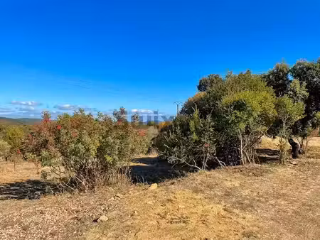 vente terrain 1004 m² à saint-martin-de-valgalgues (30520)  81 000 €