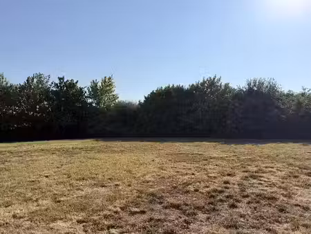 vente terrain 1372 m² à loubens-lauragais (31460)  97 000 €