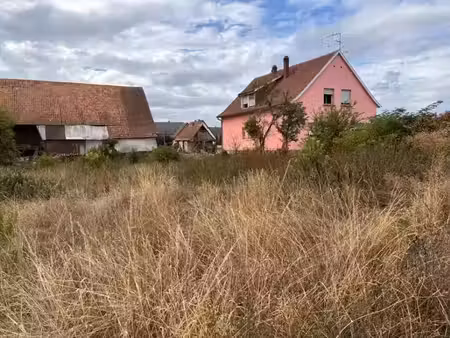 vente terrain 431 m² à durrenentzen (68320)  94 500 €