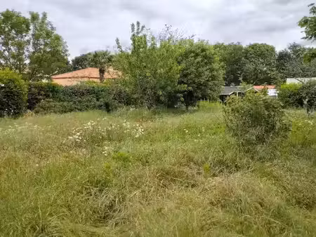 vente terrain 567 m² à sainte-pazanne (44680)  98 990 €