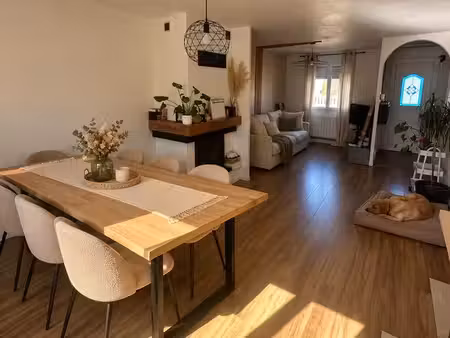 maison familiale avec jardin - bray-sur-seine
