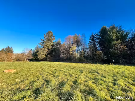terrain constructible