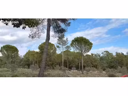 terrain 1 hectare