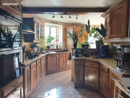 vente maison au calme 58210