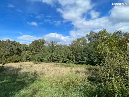 terrain avec cu