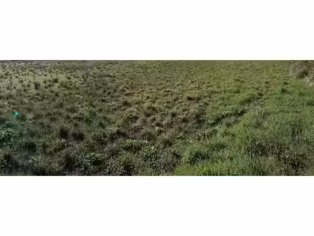vente terrain 802 m² à guipavas (29490)  155 800 €