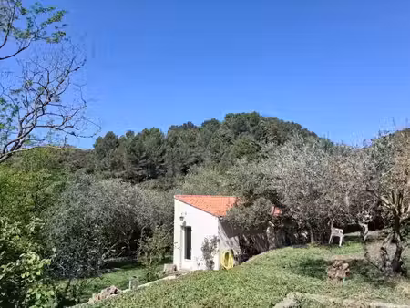 vente terrain 800 m² à signes (83870)  168 000 €
