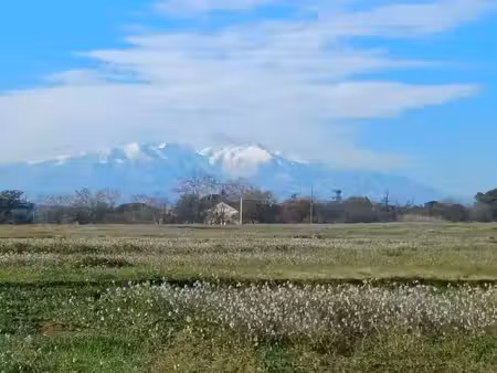 vente terrain 600 m² à villeneuve-de-la-raho (66180)  260 000 €