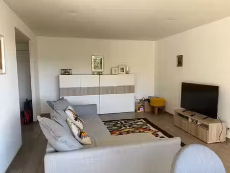 lumineux appartement 2 ch  sdb  sdche. etat impeccable!
