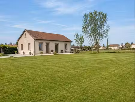 maison sur grand terrain