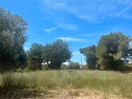 terrain grau d'agde